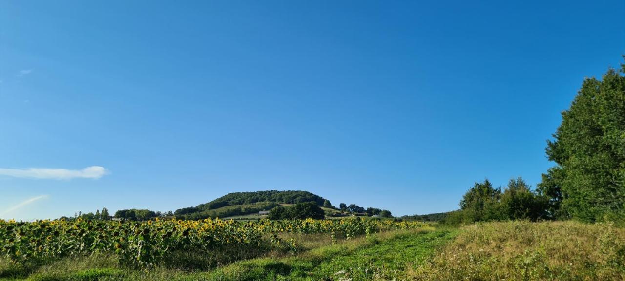 Le Coq En Repos Bed & Breakfast Saint-Sylvestre-sur-Lot Exterior photo