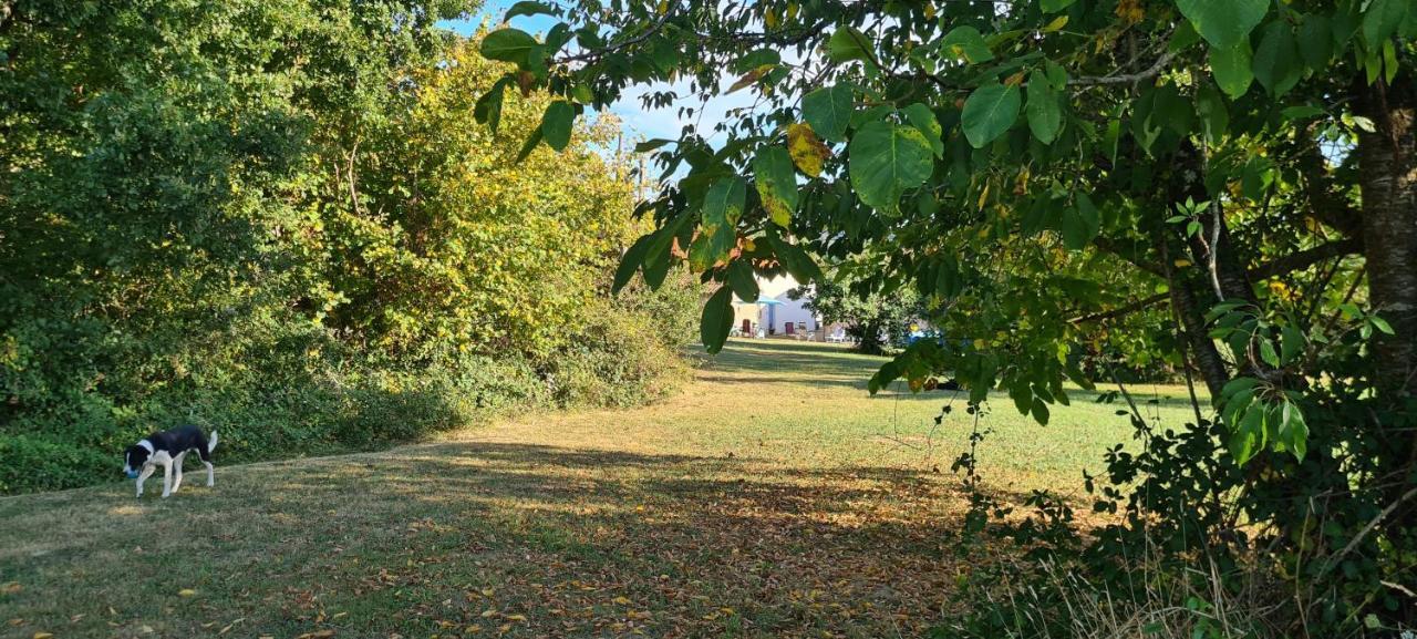 Le Coq En Repos Bed & Breakfast Saint-Sylvestre-sur-Lot Exterior photo